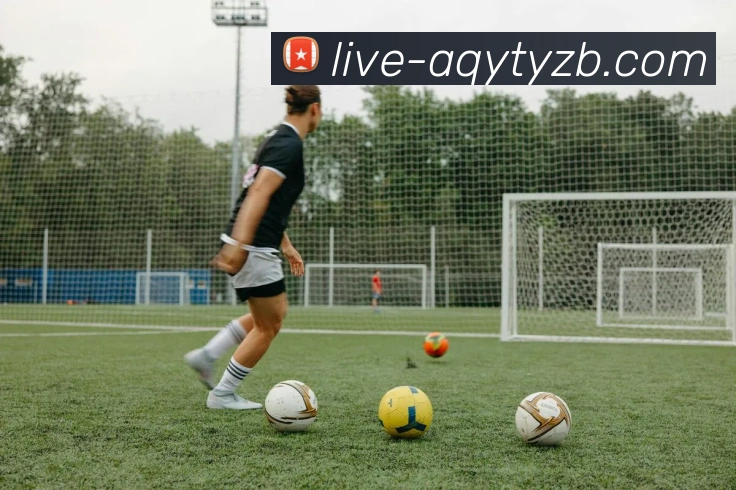 爱奇艺体育直播APP 体育赛事宣传图